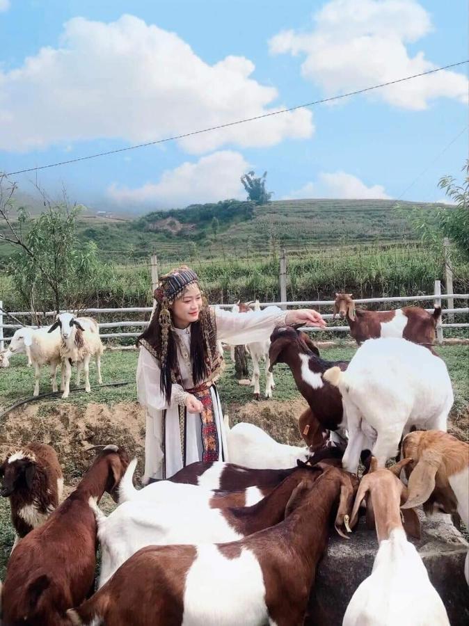 O Chau Homestay Lao Cai Zewnętrze zdjęcie