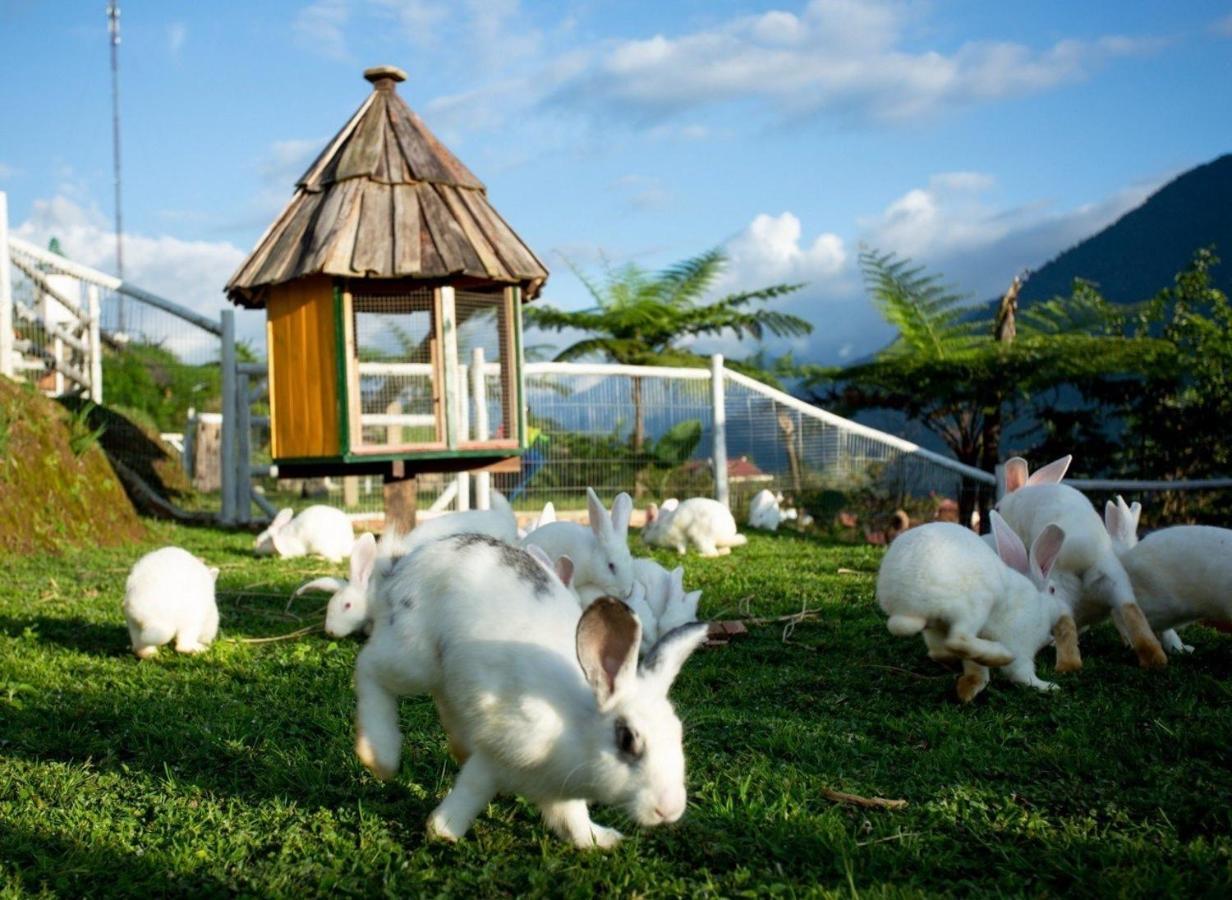 O Chau Homestay Lao Cai Zewnętrze zdjęcie