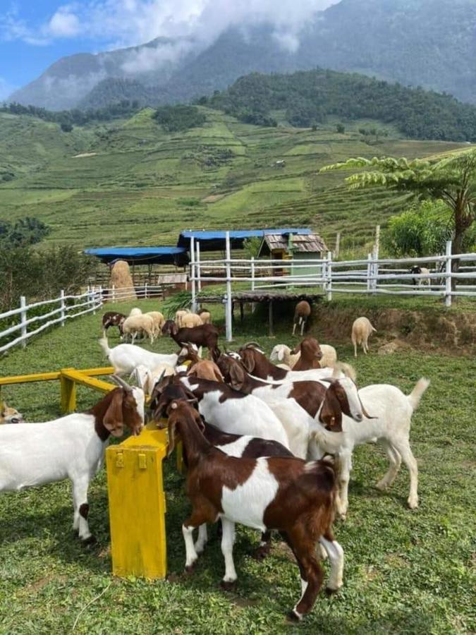 O Chau Homestay Lao Cai Zewnętrze zdjęcie