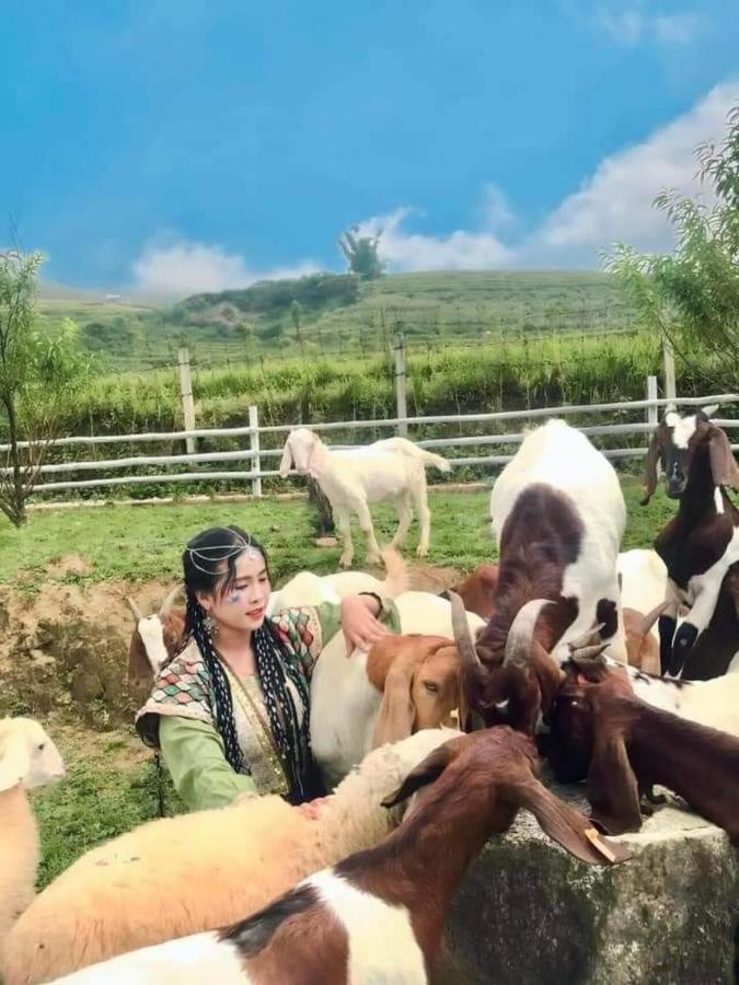 O Chau Homestay Lao Cai Zewnętrze zdjęcie